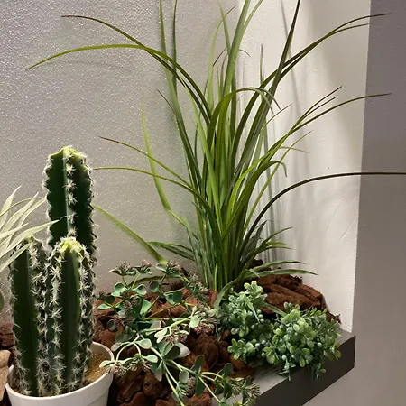 招待所 Moderna - Charme & Relax In Centro