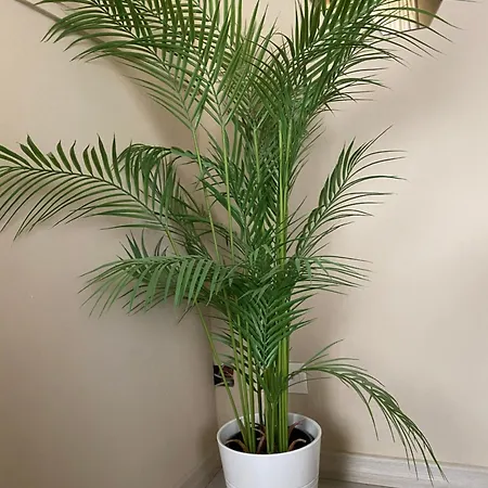 Moderna - Charme & Relax In Centro Penzion 3*